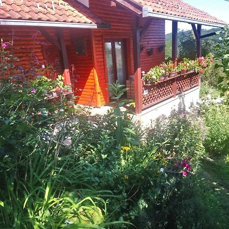 Guest House Little Heaven Užice エクステリア 写真